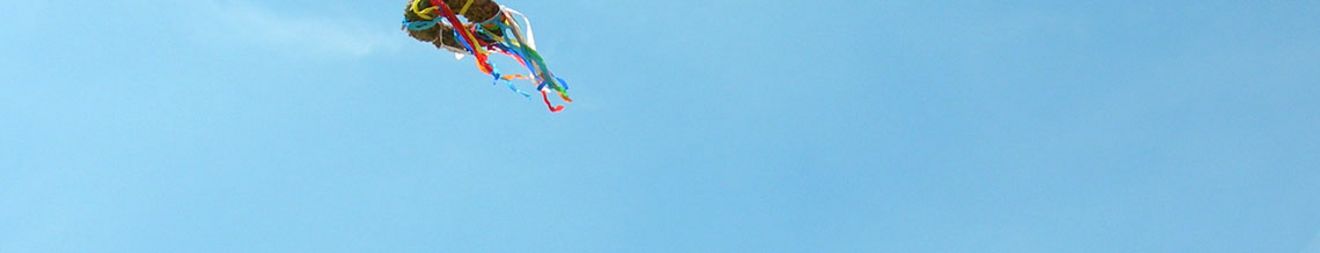 Richtkranz_dynamisch_72_dpi